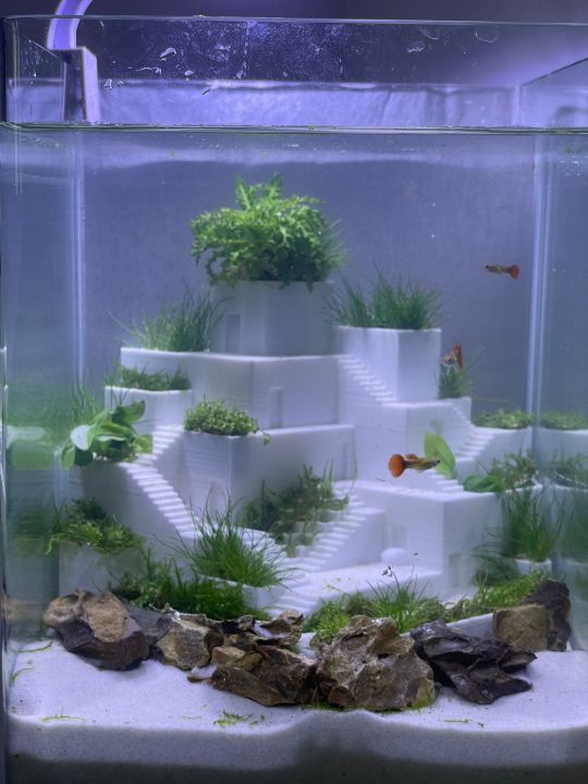 3D Printed Betta Fish Aquarium, Architecture, PLA, Aquarium Design | Lazada  Singapore