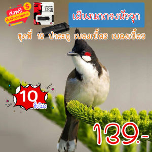 G8shop เสียงนกกรงหัวจุก ชุดที่ 12 นกป่าละอู เพลงเบิ้ล2 เพลงเบิ้ล3 mp3 ความยาว 10 ชม.เสียงชัด เสียงใสกังวาน ได้ผล100%