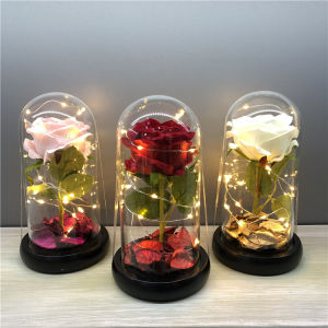 Beauty and the Beast Rose Dome Glass Silk Rose w/ Petals Valentines Mothers Day Anniversary Gift