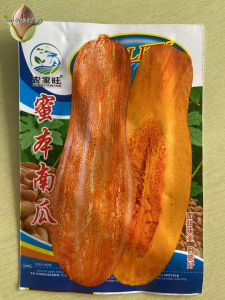 30 Seeds/pack High Yield Honey Pumpkin Seeds for Planting Vegetables Seeds -A683