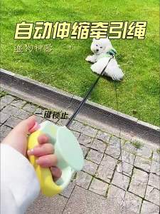 Automatic Retractable Dog Leash Anti-Pull for Small Medium Dogs Cats