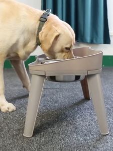SKISOPGO Large Elevated Pet Feeder with Stainless Steel Double Bowl High Foot Detachable Pet Feeding Bowl