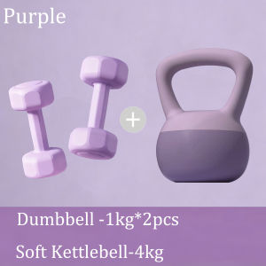 3pcs Home Use dumbbell set 1KG+4KG/2KG+6KG/3KG+8KG set Dumbbell and Kettlebell WomensFitness Equipment Weight Training