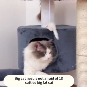 Cat Climbing Frame House Pet Toys Sturdy Scratch Resistant House Entertainment All-in-One Cat Tree