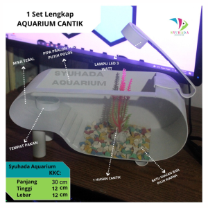 (PROMO) Aquarium Kura Kura / Akuarium mini kaca akrilik serbaguna lengkap dengan batu dan bunga lampu LED (KK)