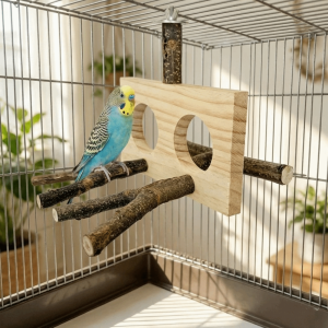 OUTOPEN Natural Wood Bird Branch Stand Double-hole Perch Detachable Parrot Parrot Perch Sturdy Chew-able Beak Grinding Toy For Parakeet Budgie atoos