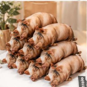 Gấu Bông Heo 3D Size 45cm 60cm 100cm Siêu Mềm Mịn Ôm Cực Êm Thú Nhồi Bông Dễ Thương Làm Quà Tặng Trang Trí Phòng Ngủ Sofa Góc Học Tập Bàn Làm Việc