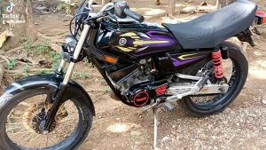 Striping Rx King Hologram || Decal Rx King || Striping Rx King (COD)