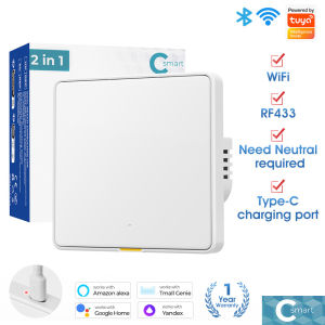 Tuya WiFi Bluetooth RF433 Smart EU Wall Light Button Switch 110-240V Neutral Wire Type-C Timing Voice App Control Fireproof Material Fluorescent Strip Works with Alexa Google