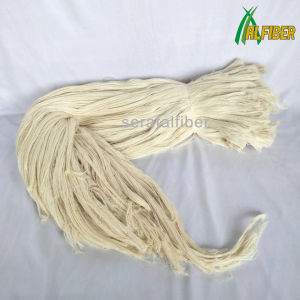 Serat Daun Nanas Subang Serat Alam Serat Nanas Pineapple Leaf Fiber Bahan Baku Benang Tekstil