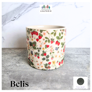 The Leaferie Belis plant pots. Ceramic flowerpot flower pot planter