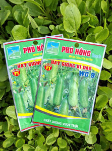 [VTNN TIEN KHOA] Combo 2 Gói Hạt Giống Bí Đao WG9 Của Phú Nông