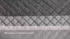 Diaper  Pee Pad Dog Training Pad Wee Pad  Cat Dog Diaper Bamboo Charcoal 寵物尿垫