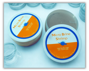 Micro Brine Shrimp by MAFTI BBS Artemia