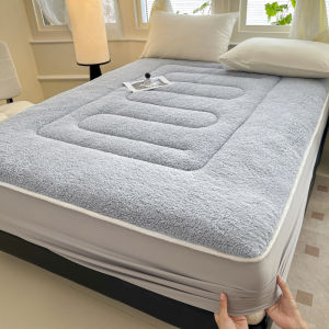 【Super low price】Thickened Imitation Lambswool Winter Fitted Sheet Solid Color Warm Plush Bed Sheets Queen Size Single Double Mattress Protector