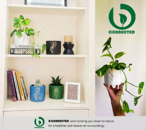 Arte Lineal Edition Cylinder Terracotta Painted Pot - Succulent Cactus - Pots by B-Connected - Handmade Minimalist Pot with Linear Art