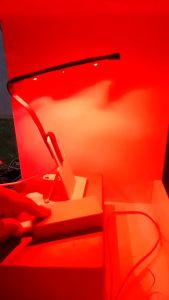 Lampu Aquarium Mata Elang Super Red: Pemilihan & Penggunaan