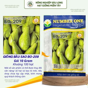 Gói 10 gram [khoảng 100H] Hạt giống Bầu sao f1 BO 209 NumberOne