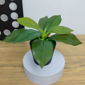 Unico PBP56 Tanaman Hias Pot Bunga Bahan Plastik Dekorasi Pajangan Ruangan Rumah Ornamen Artificial Imitasi Model Daun COD