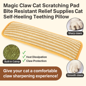 Catnip Pillow Teething Relief Magic Claw