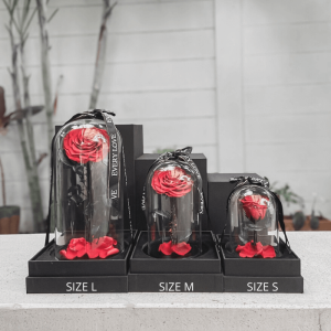 ดอกกุหลาบ ในโหลแก้ว Size L สูง 32 cm Preserved Rose กุหลาบดอกใหญ่ ดอกไม้จริง ดอกกุหลาบ ดอกไม้รับปริญา ของขวัญให้แฟน ของขวัญเซอไพร์ ของขวัญวันเกิด