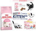 Thức ăn cho mèo con Royal Canin Kitten. 