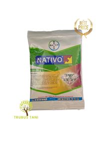 NATIVO 75WG - FUNGISIDA 50GR - mengendalikan Penyakit Antraknosa (Patek)
