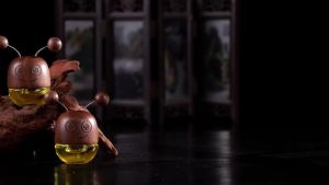 New Car Aromatherapy Air Outlet Advanced Car Aromatherapy Creative Accessories Car perfume Cute Empty Bottle