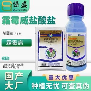 Nopson Golden Hair Stufurax Salicylic Acid Salt Spray for Spinach and Cucumber Downy Mildew Fungicide Pesticide Green Environmental Protection