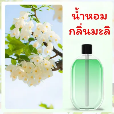 🔥ของเข้าแล้ว พร้อมส่งทุกกลิ่น🔥 เครื่องพ่นน้ำหอมอัตโนมัติ หอมติดทนนาน ช่วยฟอกอากาศ แบบชาร์จไฟ แถมสาย USB