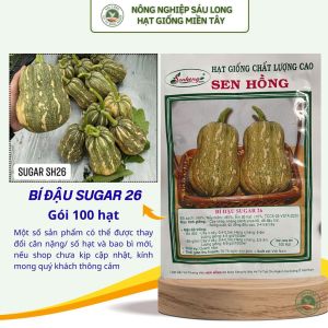 GÓI 100 HẠT - HẠT GIỐNG BÍ ĐẬU SUGAR 26 SEN HỒNG
