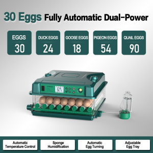 NANWEI 220V/12V Eggs Fully Automatic Egg Incubator 210/136 Egg Incubator Intelligent Digital Hatcher Brooder with Temperature Control and Auto Turning for Hatching Chicken Duck Goose Quail Birds Incubators for Farm App