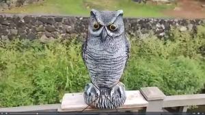 GEEBON Large Owl Falcon Decoy Statue Yard Garden Crow Scarecrow Outdoor Bird Preventing