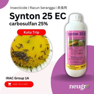 Brightonmax Synton 25EC (1L) Racun Serangga Kutu Trip / Hama / Ulat Pengorek Buah Carbosulfan 25% Insecticide Control Thrips 杀虫剂 控制蓟马