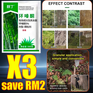 🔥【Strong destructive power】3 days to remove all bamboo Bamboo killer 1000% killing rate Racun rumput paling kuat racun pokok besar racun tabur rumput racun buluh Has Strong Killing Effect on Weeds Shrubs Bamboos and Has a Long Lasting Effect环嗪酮 除草剂