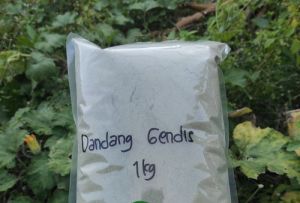 MURAH BUBUK DANDANG GENDIS 1 KG