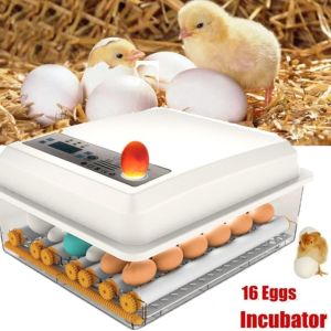 220V 16 Eggs Incubator Poultry Incubator Brooder Digital Temperature Hatchery Egg Incubator Hatcher Chicken Duck Goose Pigeon Peacock