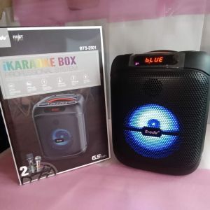 Brodu BTS-2501 iKaraoke Box Professional Karaoke Wireless Bluetooth Speaker