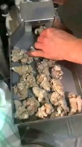 Bột Tam Thất Nguyên Chất 100% - Loại 40 Củ - Túi 100g