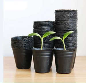 Combo 10 Chậu nhựa dẻo màu đen ươm cây 9cm