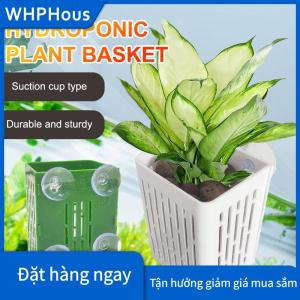 WHPHous Treo hút cup móc Aquarium nhà máy chủ nhựa Aquarium planter cup planter giỏ thủy sản nồi hộp aquascape trang trí