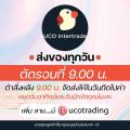 *ซาฟารี* แปรงสีฟันเด็ก แปรงเด็ก วินคิดส์ WINKIDS 6-12ปี 4สี 4ลาย ขนนุ่ม มีรูแขวนเก็บง่าย ไม่บาดปาก. 