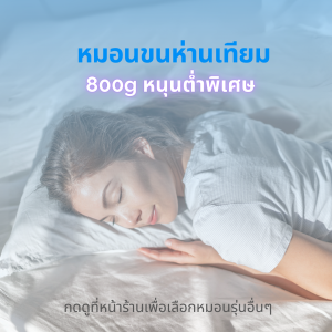 Wellness หมอนขนห่านเทียม หมอนเด็ก รุ่น Microfiber Pillow 800g (Plush/นุ่มจม หนุนต่ำพิเศษ)