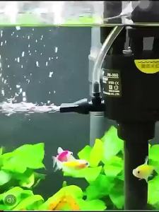 Oxygen pump金利佳PB-260/320/360/460/560鱼缸潜水泵三合一增氧水族箱抽水泵  魚池 水泵。。。
