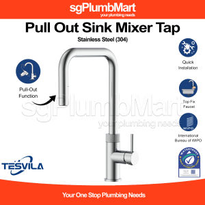 Tesvila x sgPlumbMart TKF-A60-2 Stainless Steel Pull Out Spout Sink Tap Mixer Kitchen Hot and Cold Water