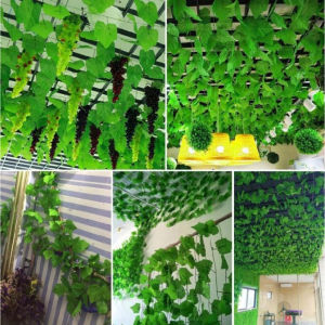 Dây lá nho giả lá xanh chiều dài 21-23m trang trí nhà cửa quán cafe không gian trần sảnh hội nghị siêu đẹp tường rào - sân vườn ban công tiểu cảnh TODOCO