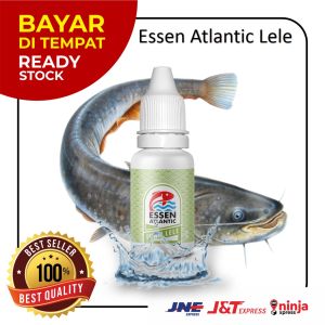 Essen Lele Atlantic Umpan Pancing Galatama Harian 15ml