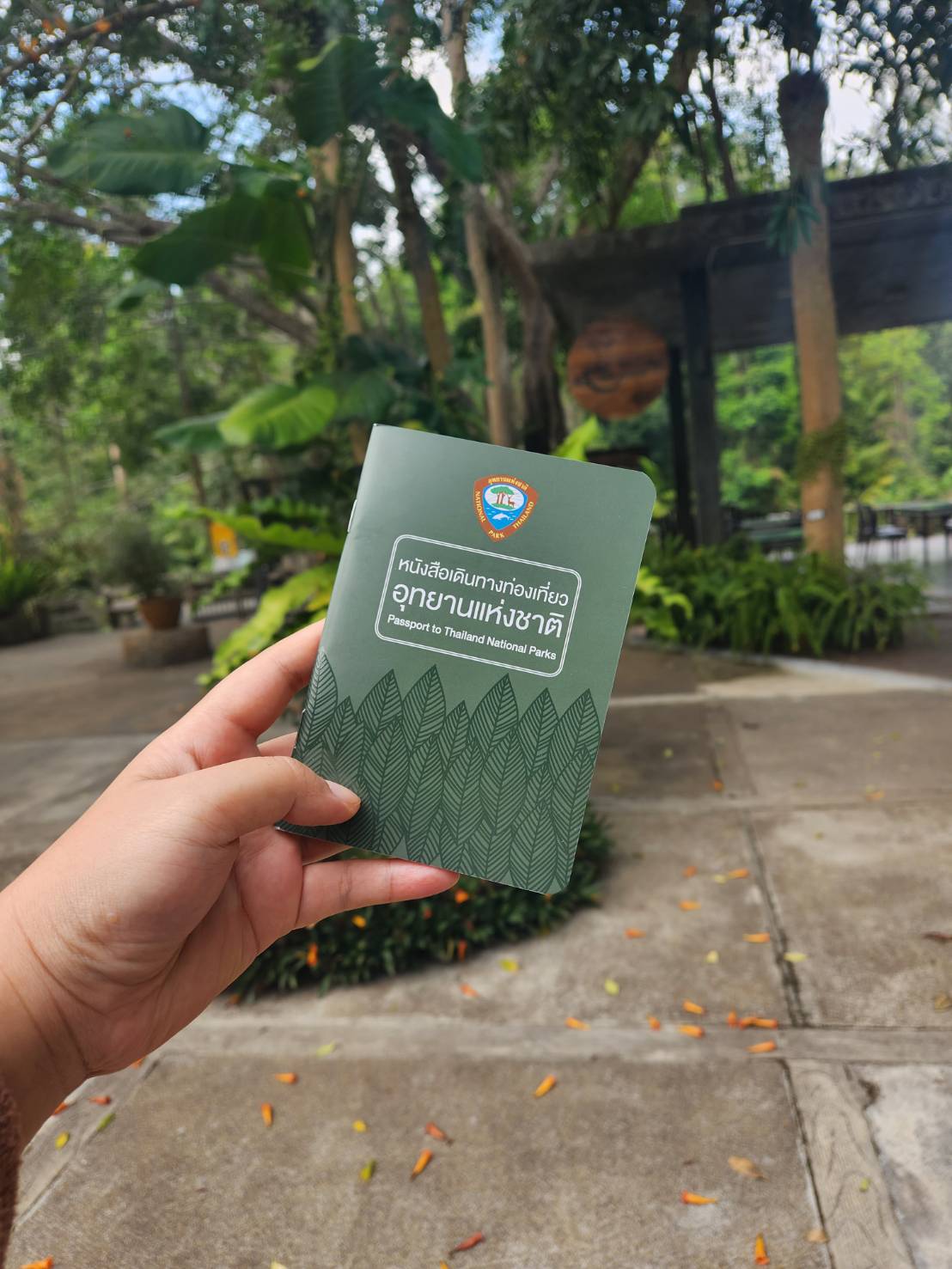 ตามรอย คัลแลนพี่จอง ไม่มีไม่ได้แล้ว!! สมุดท่องเที่ยวอุทยาน หนังสือท่องเที่ยวแห่งชาติประเทศไทยทั้ง 156 แห่งทั่วประเทศไทย