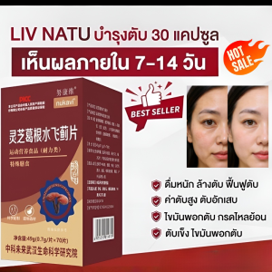 สูตรบำรุงตับด้วยมิลค์ทิสเซิล สารสกัดซิลิมารินประสิทธิภาพสูง อาหารเสริมต้านอนุมูลอิสระที่ช่วยล้างพิษตับตามธรรมชาติ