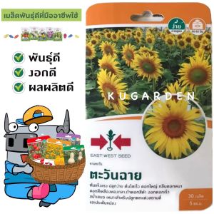 SORNDAENG 🇹🇭 ผักซอง ศรแดง N002# ทานตะวัน ตะวันฉาย เมล็ดพันธุ์ เมล็ดพันธุ์ลูกผสม เมล็ดพันธุ์ผัก ผักสวนครัว ผักศรแดง